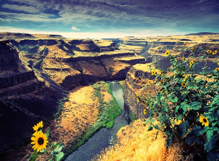 Palousse Canyon, Washington - canyon, beautiful, river, clouds, flowers, grass