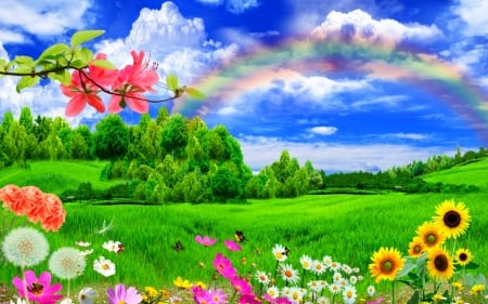 Wonderland - nature, sky, rainbow, flowers, grass