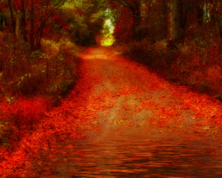 Autumn - red, path, leaf, trees, autumn