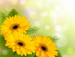 Yellow flowers