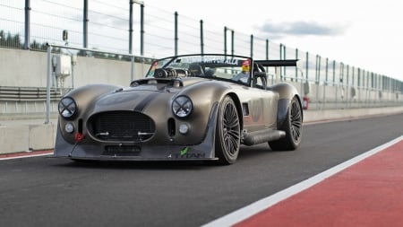 Shelby Cobra - cobra, shelby, wheel, car