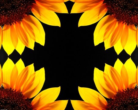 Floral art - sunflowers, art, abstract, flowers