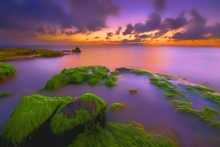 Morning at the Sea - algae, clouds, sunset, water, rocks, sky