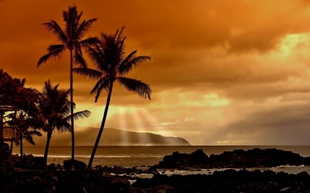 Tropical Sunset - beach, palms, sunlight, clouds