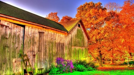 beautiful barn hdr - farm, autumn, trees, hdr, grass, barn