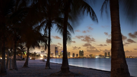 beautiful tropical cityscape - trees, beach, lights, dusk, city, seaside, bridge