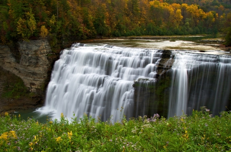 Waterfall - water, trees, waterfall, beautiful