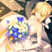 Fate Stay Bride