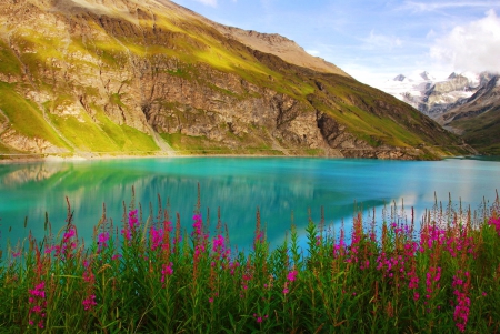 Lake flowers - blue, beautiful, tranquil, lovely, reflection, mountain, calmness, flowers, shore, nature, mirror, clear, serenity, lake, emerald, rocks