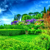 Stunning Garden in Green Nature