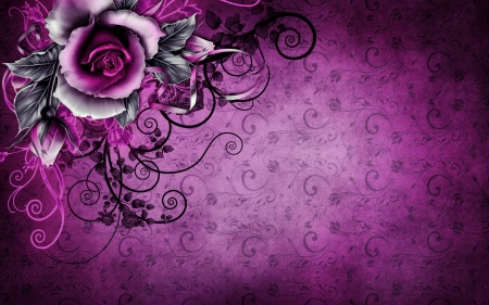 ♥ - abstract, black, purple, rose, flower, pink