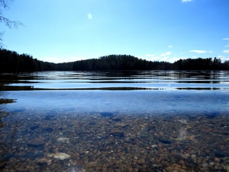 Pond - clear, spring, water, pond