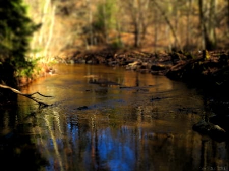 River - river, spring, water, sun