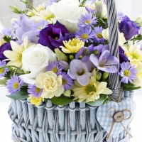 * Spring basket *