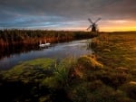 swans in a river by a windmill