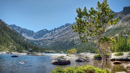 wonderful mountain river hdr - river, hdr, forest, mountains, tree, rocks