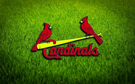 Cards in the Grass - baseball, wallpaper, cards, st louis