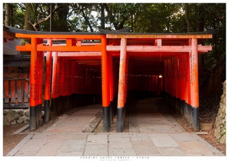 Fushimi Inari Torii - shrine, gate, japan, temple, torii, japanese