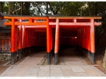 Fushimi Inari Torii