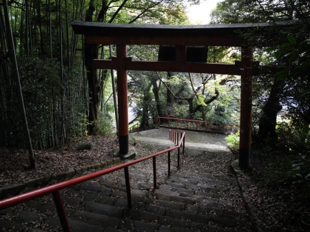 Temple Torii - torii, japan, gate, forest, shrine, japanese, temple