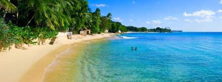 Caribbean Beach, Barbados - palm trees, beach, beautiful, summer, blue sky, sand, sea