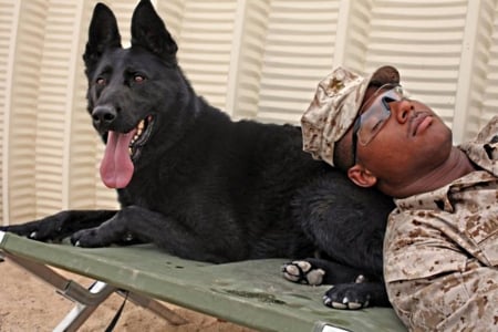 pals - military, resting, sleeping, inside