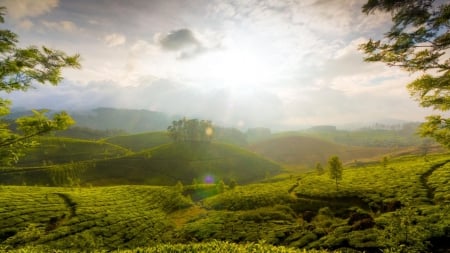 Hills - landscape, wide, rural, view