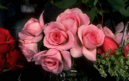 Pink Rose Bouquet F1C - flower, beauty, photo, love, still life, romance, roses, photography, floral, nature