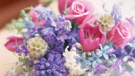 GORGEOUS FLOWERS - flowers, gorgeous, pretty, beautiful