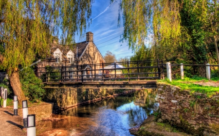 Bridge - nature, water, tree, bridge