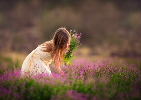 Field of Dreams - princess, girl, flowers field, field, nature, purple, splendor, flowers, purple flowers, little girl