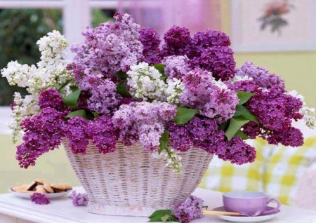 Basket of Flowers - purple, abstract, basket, flowers, fantasy