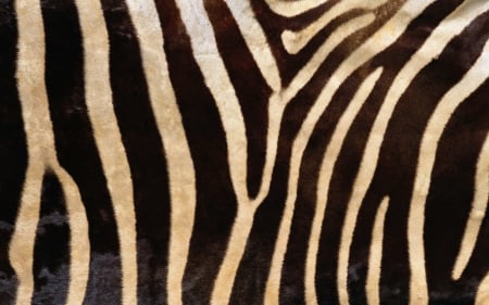 Zebra skin