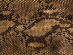 Snake skin