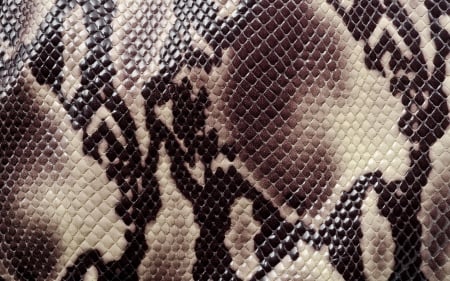 Snake skin - skin, abstract, snake, pattern, texture