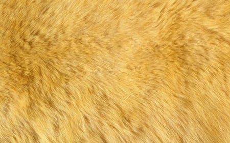 Fur