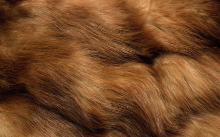 Fur - brown, pattern, fur, texture, abstract