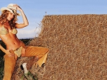 Cowgirl In The Hay