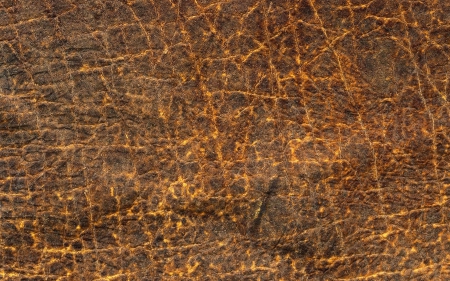 Snake skin - skin, brown, abstract, snake, orange, pattern, texture