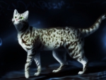 Fantasy cat