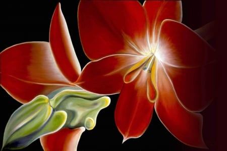 Digital Lily - art, lily, red, digital