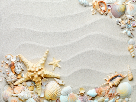 ♥Starfish & Shells♥