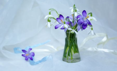 * Spring Tenderness * - flowers, delicate, tenderness, ribbon, spring