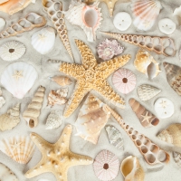 â™¥Starfishes & Shellsâ™¥