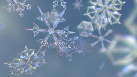 Snow Flake Wonder - entertainment, technology, people, other