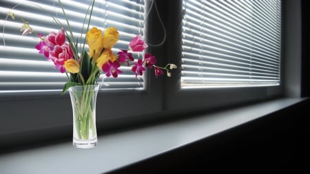 hot days - abstract, flowers, wp, window