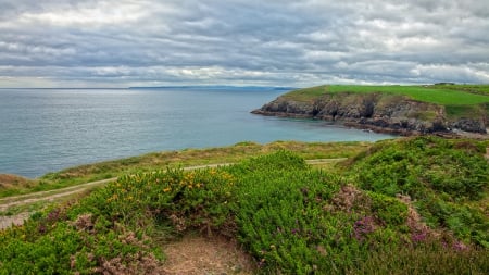 Annestown Scenery - HDR - ocean, ireland, landscape, raymond, annestown, irish, nature, nicolas, clouds, scenery, hdr, sea, scene