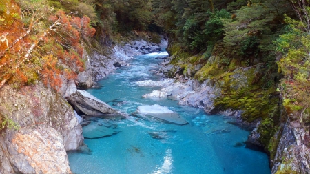 The Gates of Haast - rapids, trees, new zealand, national park, moss, azure blue pools, forest, beautiful, river