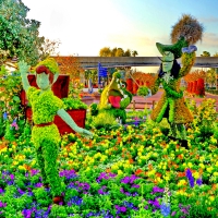 Spring flowers in Disney-California