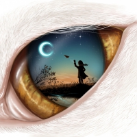 The cat's eye